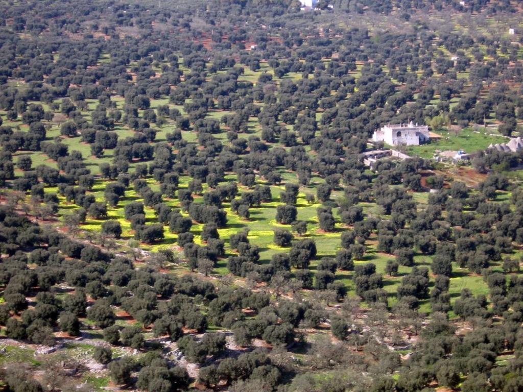 I Trulli Di Acquarossa Aparthotel Cisternino Ngoại thất bức ảnh